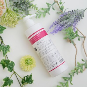 DSC_2444 のコピー